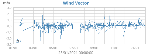 Wind Vector